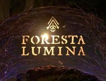 The Mysterious Journey of Returning to Childhood: The Foresta Lumina "Fantasy Forest" Project in Canada